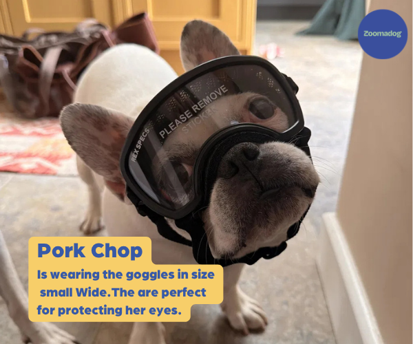 Rex Specs Dog Goggles - For Active and Blind Dogs (Black, Pink, Blue, Orange or Coyote)