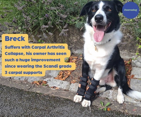 Breck, wearing the Scandi Carpal Splint