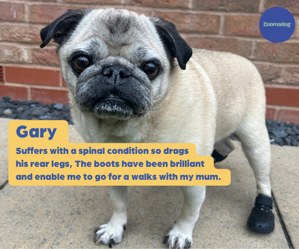 WagWear Mojave - Breathable Rubber Dog Boots for Extra Grip & Paw Protection (two boots)