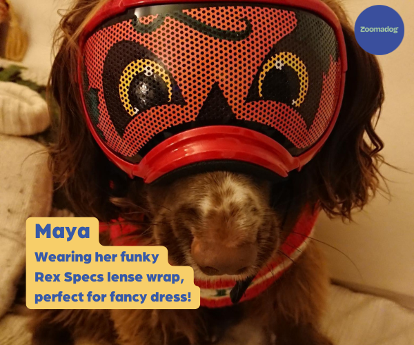 Rex Specs Dog Goggles - For Active and Blind Dogs (Black, Pink, Blue or Orange)