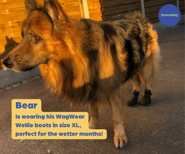 WagWear WagWellies® Rubber Dog Boots (two boots)
