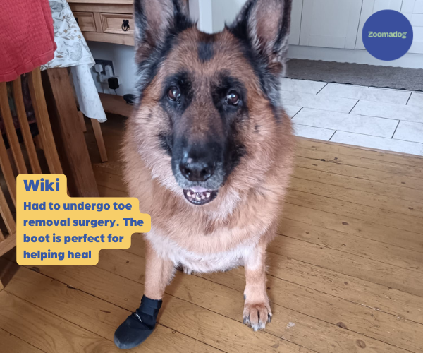 Shepherd Shoes Bobs For Dogs German Shepherd Walkabout Protective