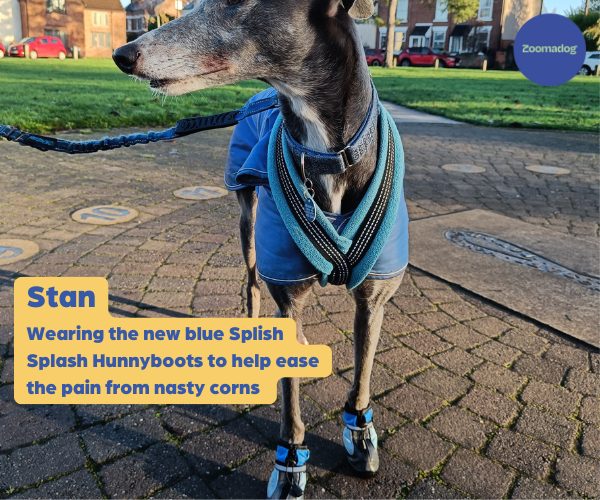 Hunnyboots Splish Splash (fleece lined) - Set of Two Greyhound Boots (a pair)