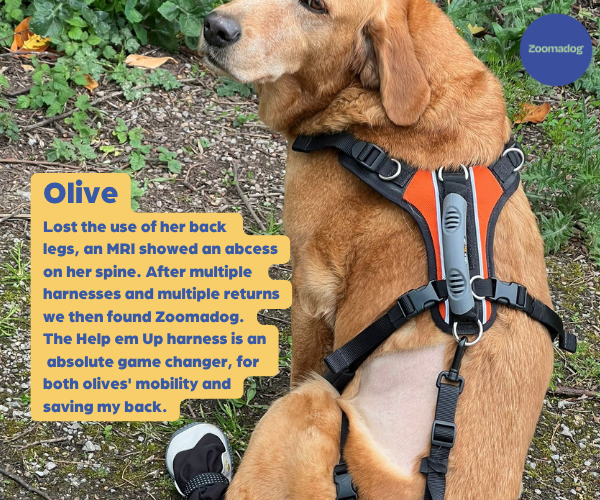 Help Em Up Harness - The Complete Dog Lifting Harness