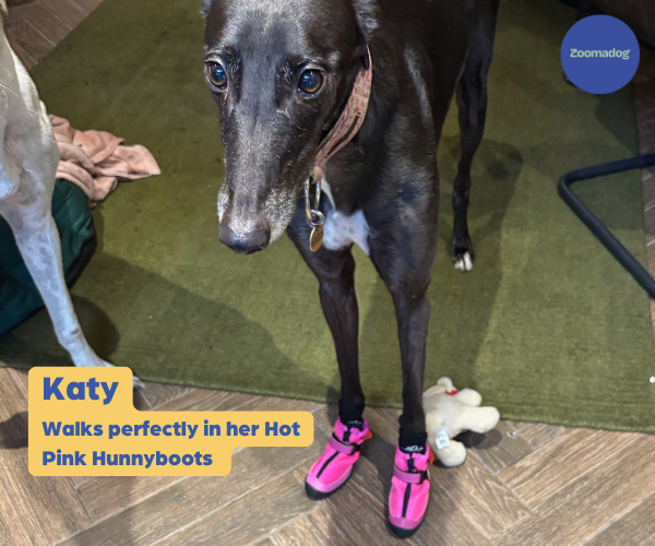 Hunnyboots - Set of Two Greyhound Boots V4 (a pair)