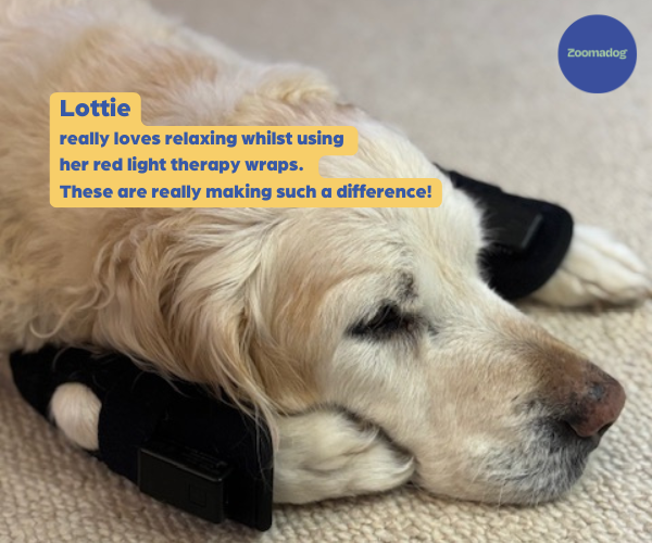 HEALED Wraps Pain Relief for Dogs - For Arthritis, Inflammation and Joints using Revolutionary LED