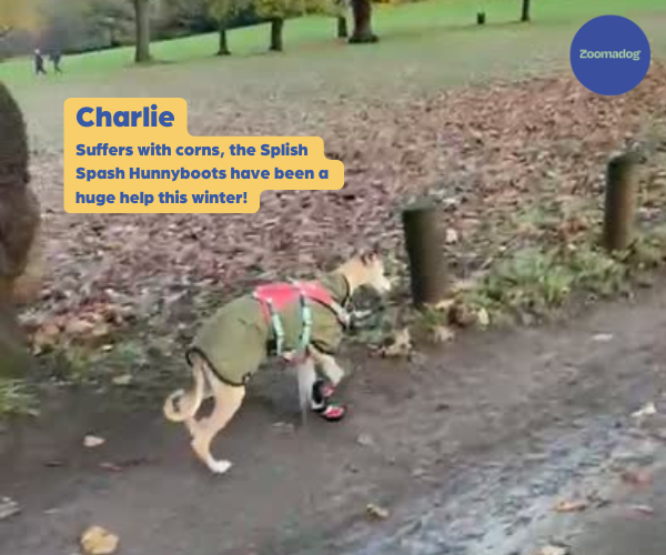 Hunnyboots Splish Splash (fleece lined) - Set of Two Greyhound Boots (a pair)