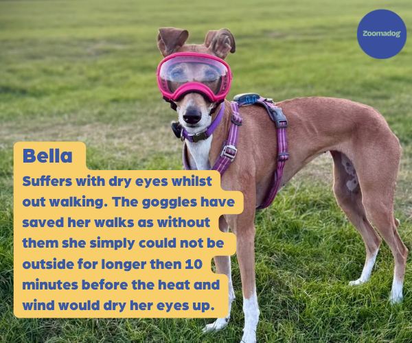 Rex Specs Dog Goggles - For Active and Blind Dogs (Black, Pink, Blue, Orange or Coyote)
