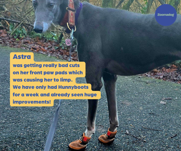 Hunnyboots - Set of Two Greyhound Boots V4 (a pair)