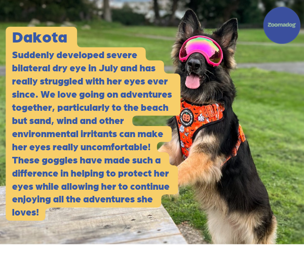 Rex Specs Dog Goggles - For Active and Blind Dogs (Black, Pink, Blue, Orange or Coyote)