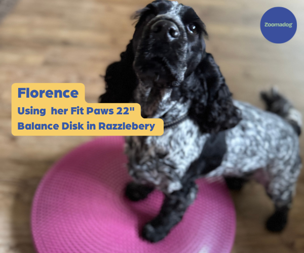 FitPaws Balance Disc 14", 18" or 22" - Blue or Razzleberry