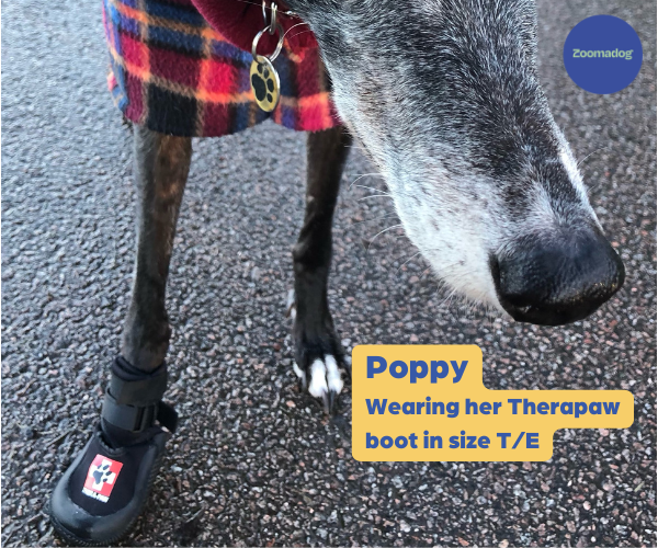 Therapaw Protective Dog Boot (Single Boot) - Extra Thick Sole