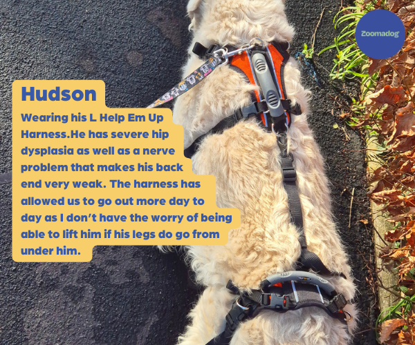 Help Em Up Harness - The Complete Dog Lifting Harness