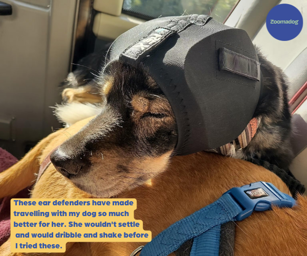 Rex Specs Ear Pro for Dogs - Great for Fireworks, Storms and Loud Noises. Protect your Dog's Ears