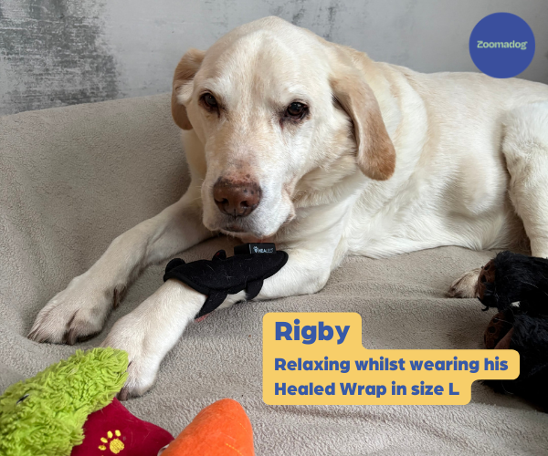 HEALED Wraps Pain Relief for Dogs - For Arthritis, Inflammation and Joints using Revolutionary LED