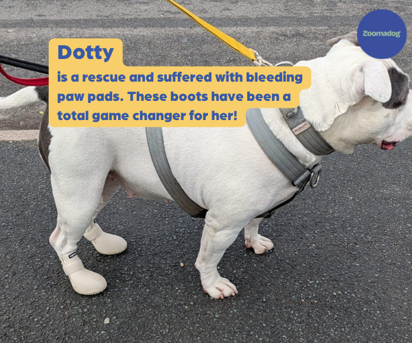 WagWear Wellies Rubber Dog Boots (two boots)