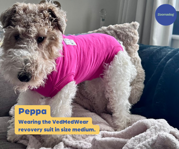 VetMedWear Recovery Suit for Dogs - Post-Surgery & Wound Protection Suit Made of 95% Organic Cotton