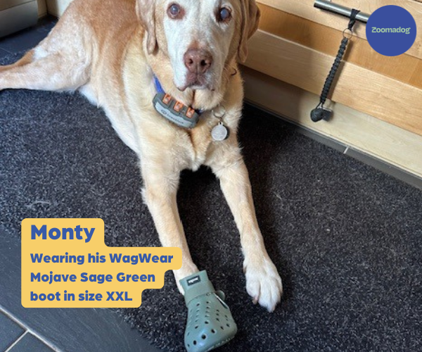 WagWear Mojave - Breathable Rubber Dog Boots for Extra Grip & Paw Protection (two boots)