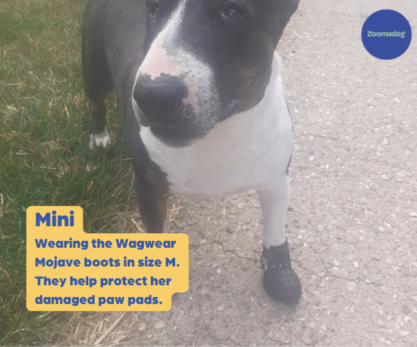 WagWear Mojave - Breathable Rubber Dog Boots for Extra Grip & Paw Protection (two boots)