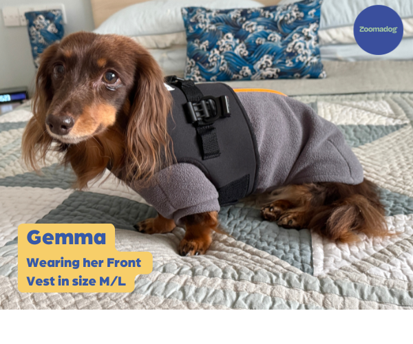 Walkin Front Vest for Small Dog Wheelchairs