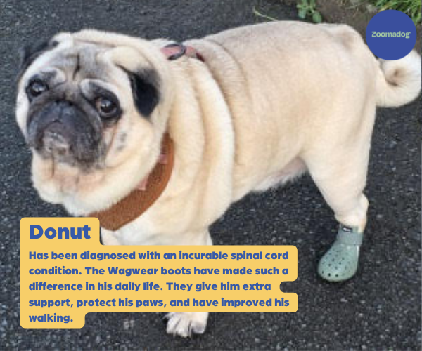 WagWear Mojave - Breathable Rubber Dog Boots for Extra Grip & Paw Protection (two boots)