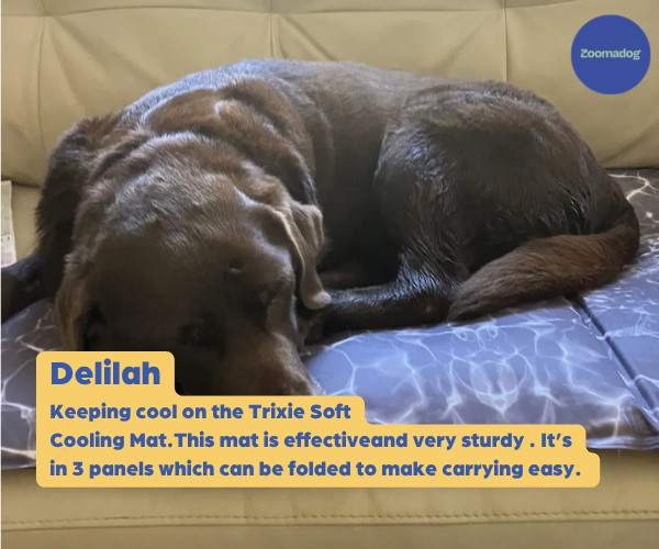 Trixie Soft Cooling Mat for Dogs - Helps Keep Your Dog Cool in High Temperatures