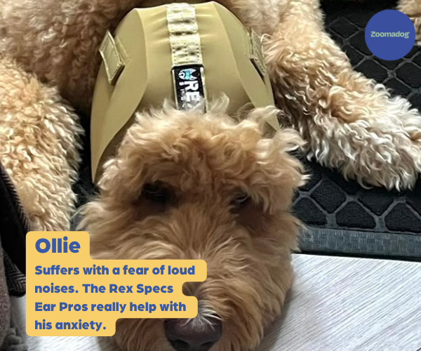 Rex Specs Ear Pro for Dogs - Great for Fireworks, Storms and Loud Noises. Protect your Dog's Ears