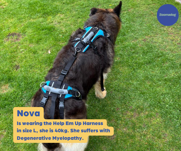 Help Em Up Harness - The Complete Dog Lifting Harness