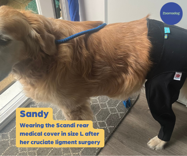 Dog Protection Medical Cover Premium - Rear Leg (made by Scandi Orthopedic)