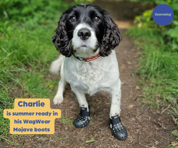 WagWear Mojave - Breathable Rubber Dog Boots for Extra Grip & Paw Protection (two boots)
