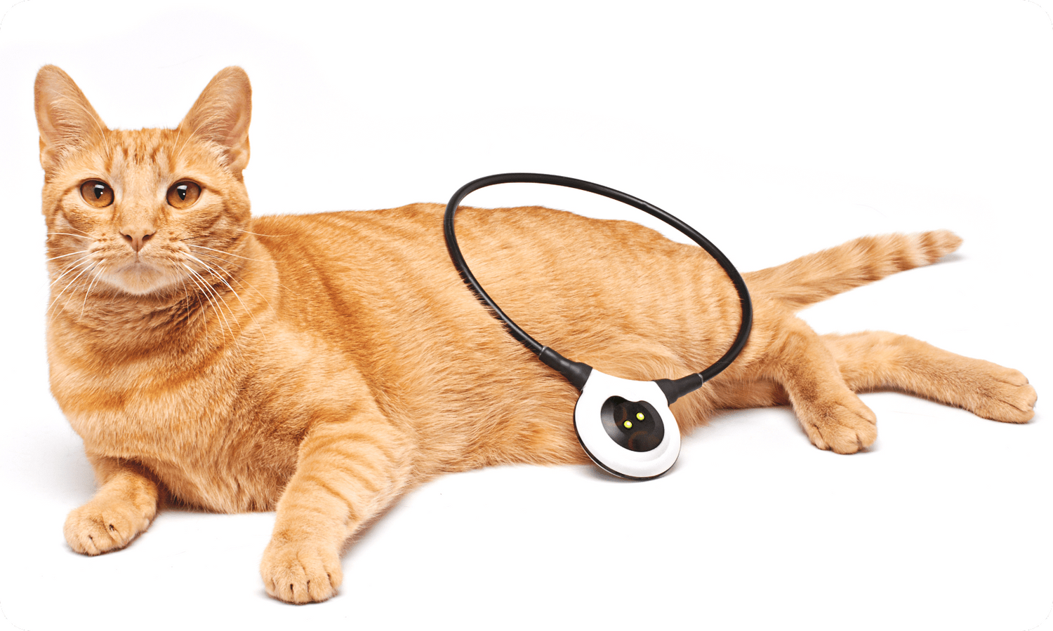 Assisi LOOP therapy is proven safe and effective