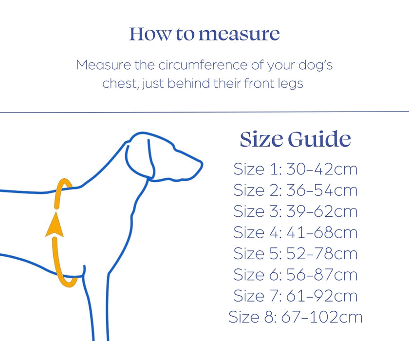 Non-Stop Dogwear Rush Dog Harness - Lightweight Support & Freedom of Movement for Your Dog
