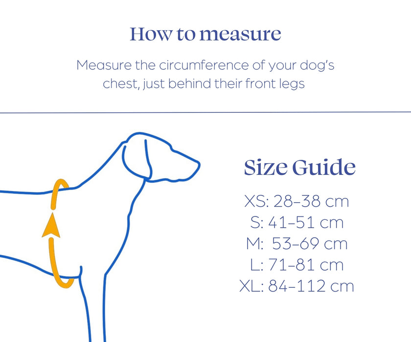 Noah & Paw Dog Life Jacket - Human Standards Life Jacket with Reinforced Rescue Handles for Comfortable & Supportive Swimming