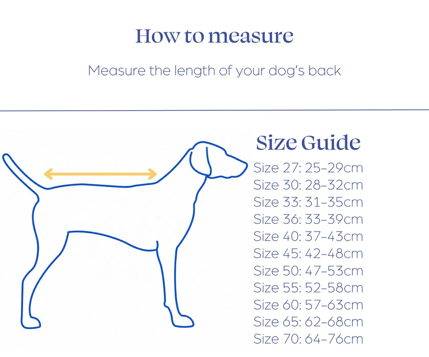 Non-Stop Dogwear Drying Coat for Dogs - Quickly Dries Wet Fur & Keeps Your Dog Warm