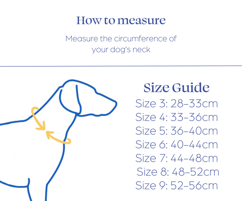 Non-Stop Dogwear Freemotion 5.0 Dog Harness - Freedom of Movement & Comfortable Support
