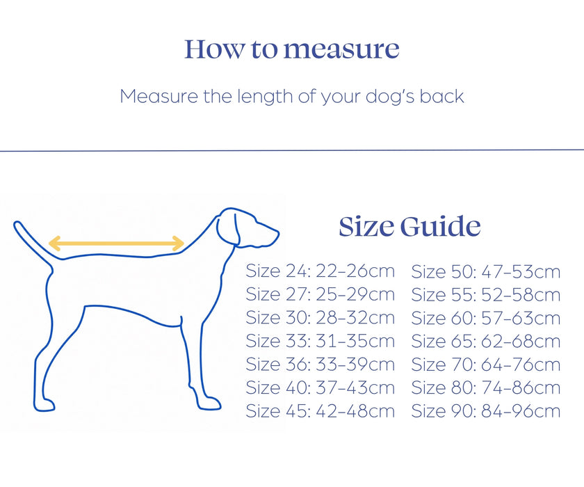 Non-Stop Dogwear Glacier Wool Jacket 3.0 for Dogs - Maximum Warmth & Comfort for Stiff Joints