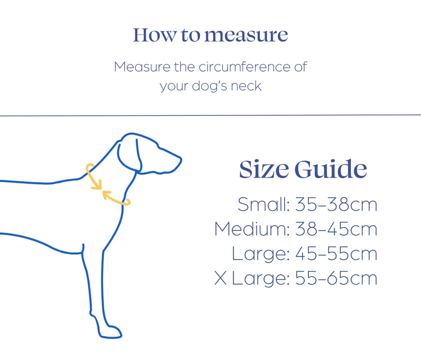 Non-Stop Dogwear Rock Adjustable Collar for Dogs - Breathable Comfort & Secure Fit (35cm–65cm Adjustable Neck)