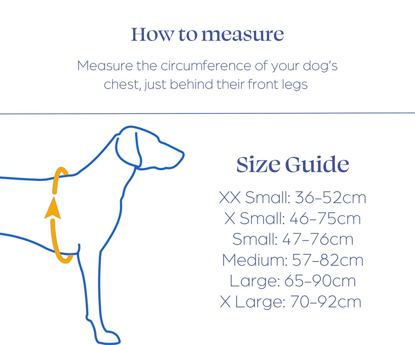 Non-Stop Dogwear Protector Vest for Dogs - Protective Chest Coverage & High Visibility for Outdoor Adventures