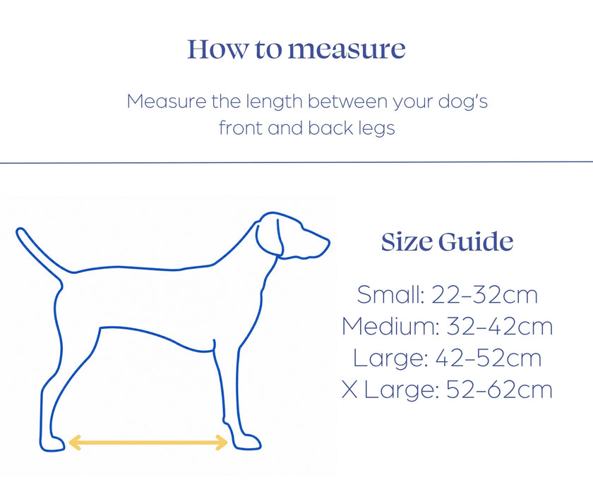 Non-Stop Dogwear Full Body Dog Sling - Help Your Dog Through Injury, Recovery & Adventure up to 50kg