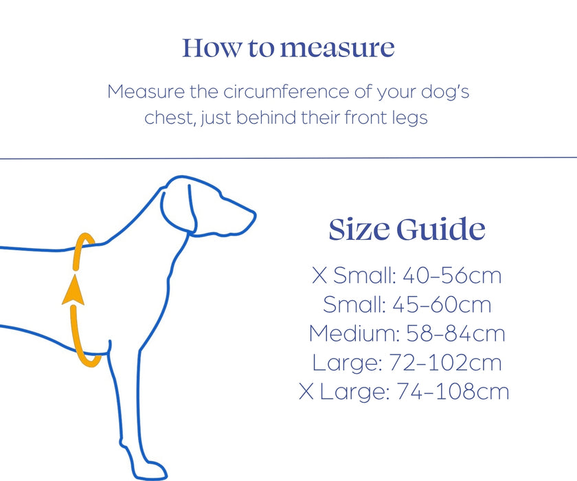 Non-Stop Dogwear Rock Harness for Dogs - Comfortable Padded Support & Freedom of Movement