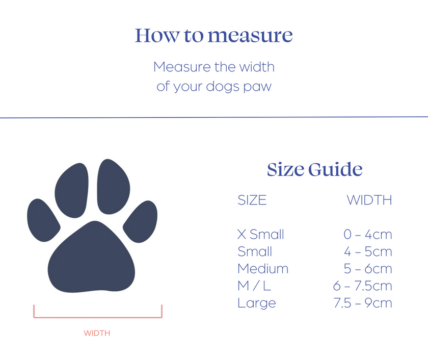 Boots to online protect dogs paws