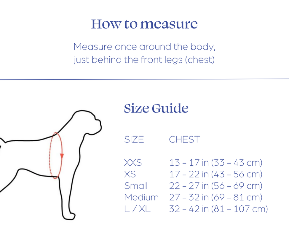 How To Measure Ruffwear Flagline Harness