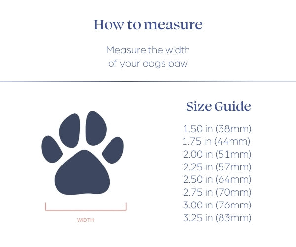 Ruffwear Ridgeline Lifestyle Dog Boots - Comfortable & Breathable for Everyday Adventures (two boots)