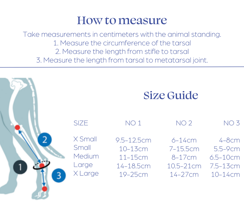 Scandi Orthopedic Hock and Tarsal Rear Splint - Grade 3 with Paw (rigid)