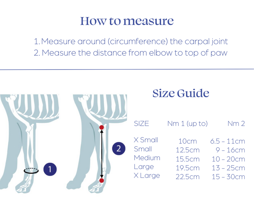 Measure Carpal Grade 1