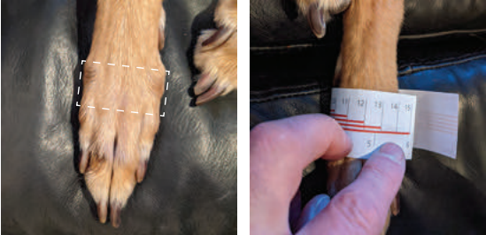 Hunnyboot Slipper Sizes