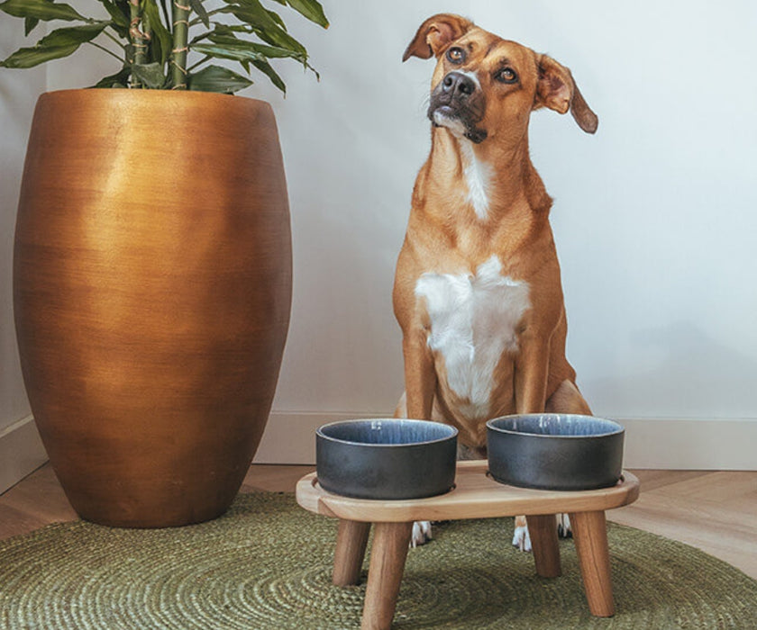AVA Ceramic Dog Bowls - Handmade Stoneware Bowl with Optional Raised Wooden Feeding Stand