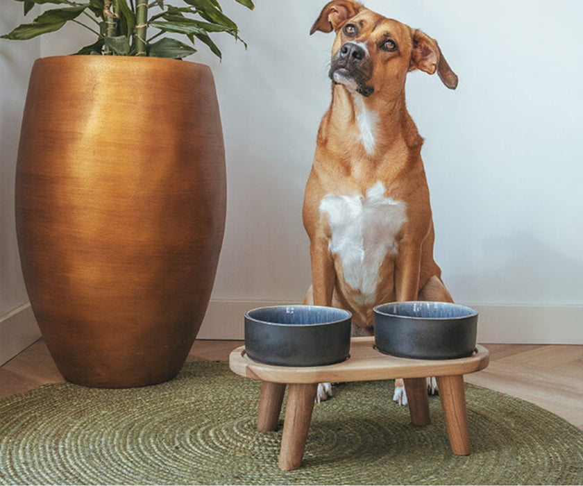 AVA Raised Wooden Dog Feeding Tray - Solid Oak Tray For Improved Digestion & Better Posture. 6cm or 12cm High