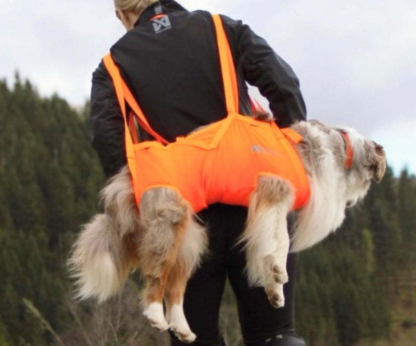 Non-Stop Dogwear Full Body Dog Sling - Help Safety Lift & Carry Your Dog up to 50kg