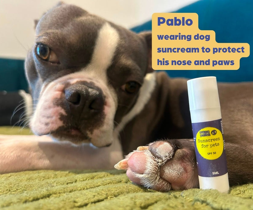 Noseprint Dog Sunscreen SPF 50 Stick - High Protection Dog Suncream Stick for Sensitive Skin 5ml